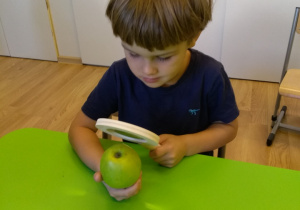 Przy stole siedzi chłopiec. W jednej ręce trzyma lupę. W drugiej trzyma jabłko. Chłopiec ogląda jabłko przez lupę.