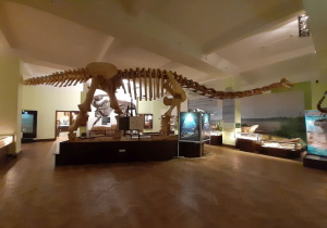 Na środku sali stoi duży szkielet dinozaura. W tle po prawej stronie i z tyłu widać gabloty z eksponatami.